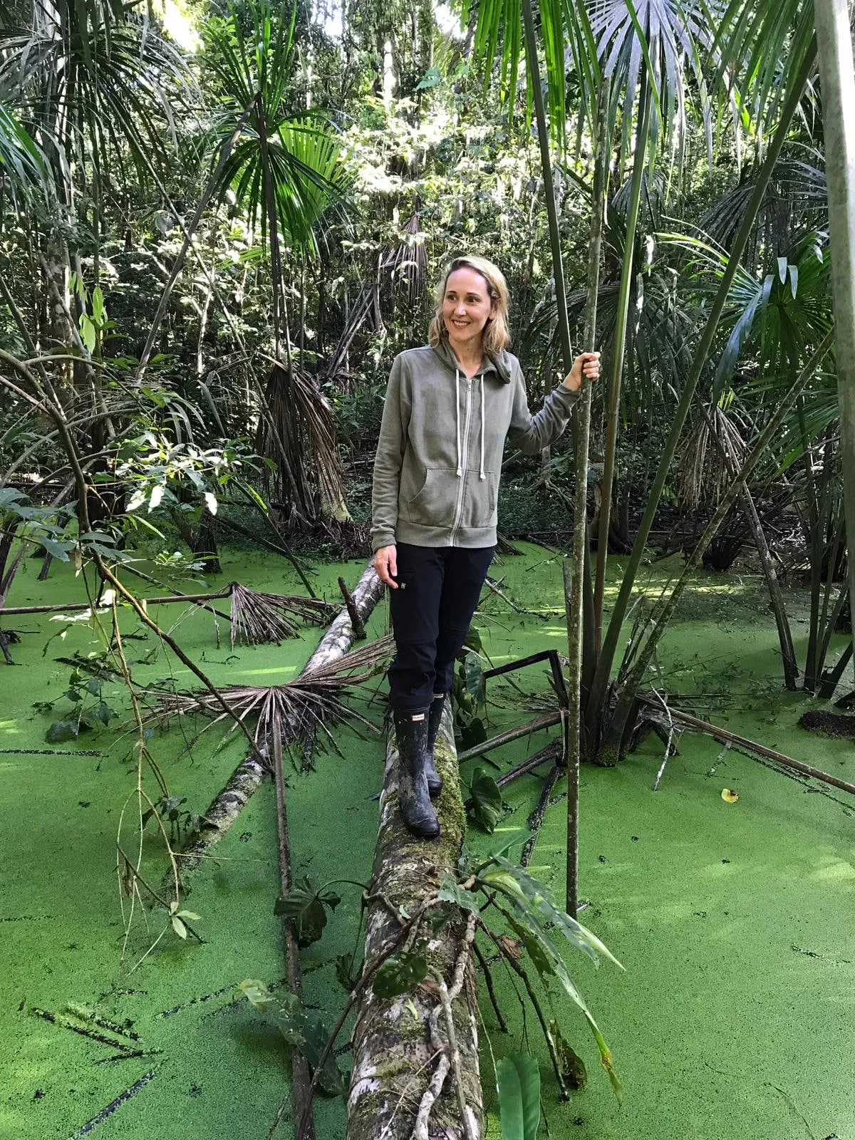 Dense Amazon jungle foliage