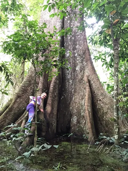 A moment in the jungle